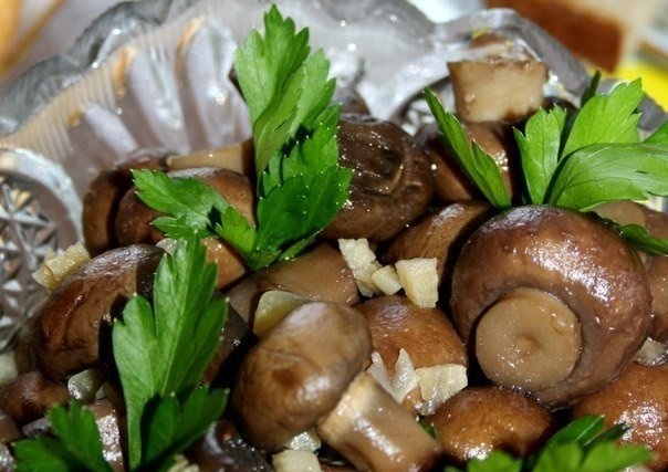 Пряные грибочки. Маринованные шампиньоны нарезанные. Маринованные грибы с овощами. Как замариновать шампиньоны для духовки. Специи для шампиньонов